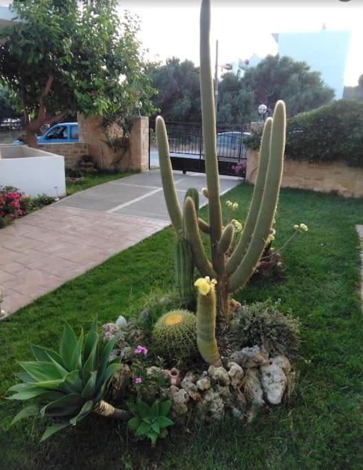 Antonia Apartment Plakias Luaran gambar